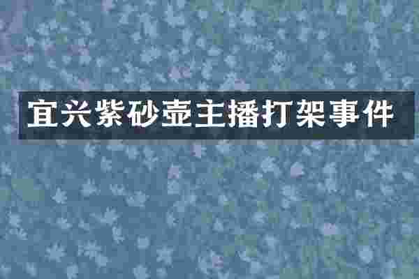 宜兴紫砂壶主播打架事件