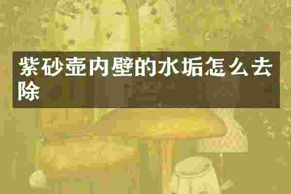 紫砂壶内壁的水垢怎么去除