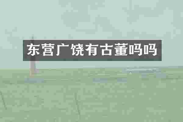 东营广饶有古董吗吗