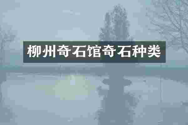 柳州奇石馆奇石种类