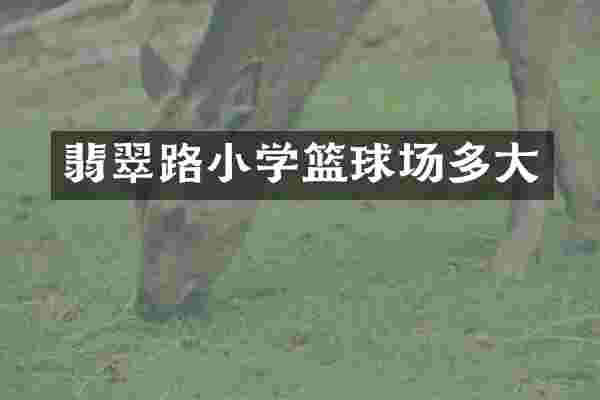 翡翠路小学篮球场多大