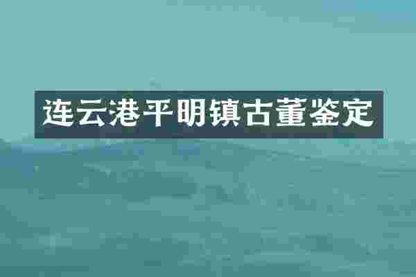 连云港平明镇古董鉴定