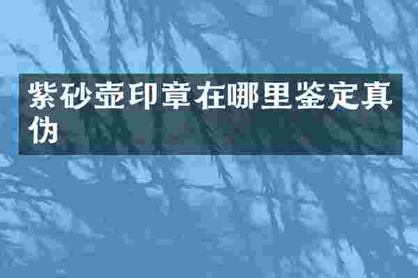 紫砂壶印章在哪里鉴定真伪