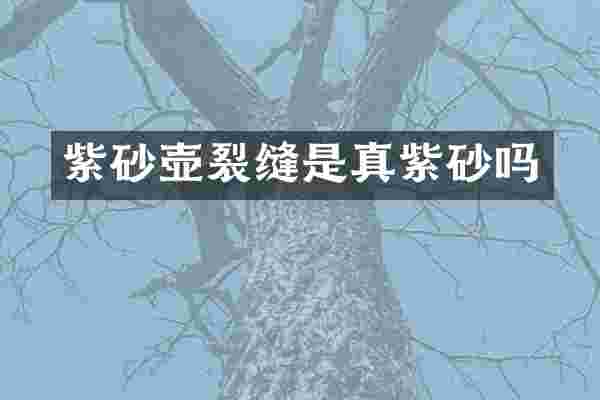 紫砂壶裂缝是真紫砂吗