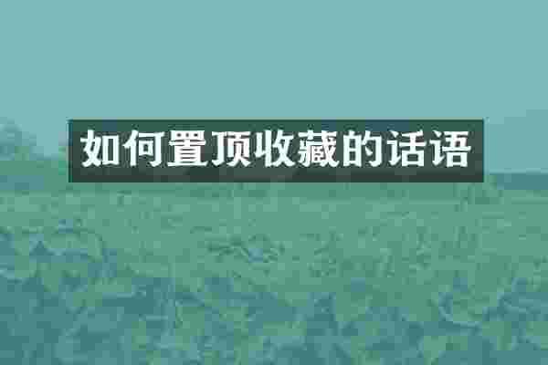 如何置顶收藏的话语