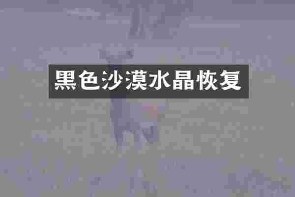 黑色沙漠水晶恢复