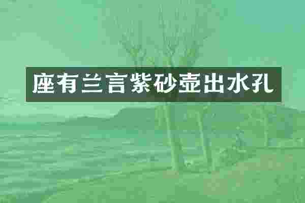 座有兰言紫砂壶出水孔