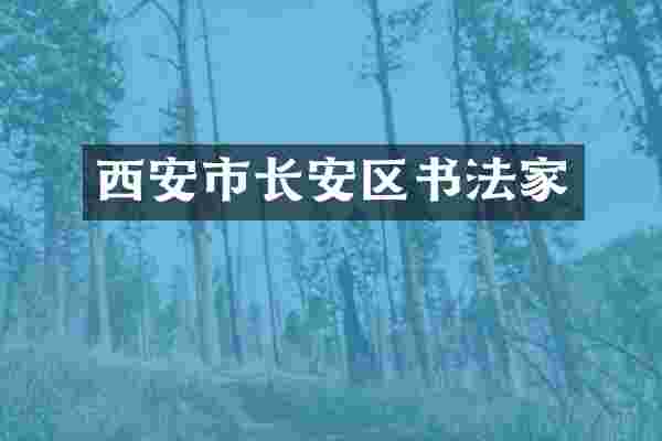 西安市长安区书法家