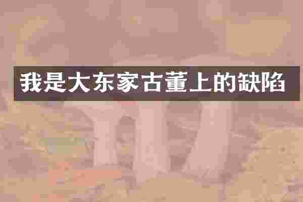 我是大东家古董上的缺陷