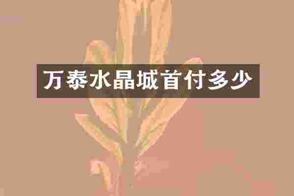万泰水晶城首付多少