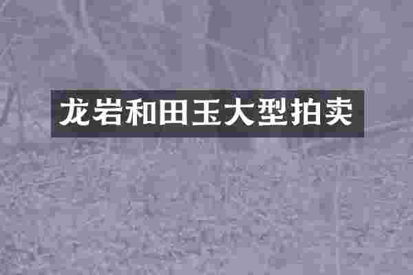 龙岩和田玉大型拍卖