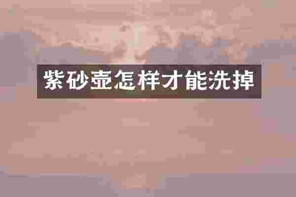 紫砂壶怎样才能洗掉