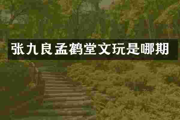 张九良孟鹤堂文玩是哪期