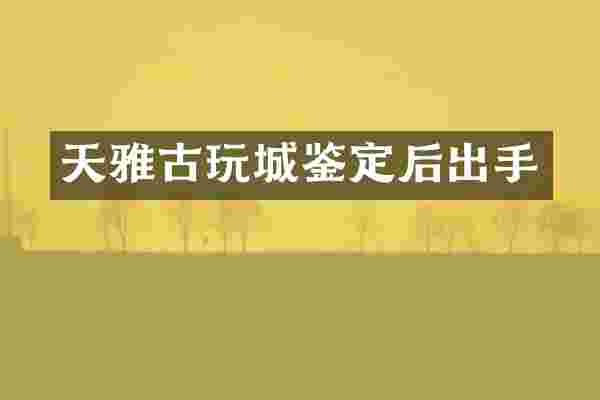 天雅古玩城鉴定后出手