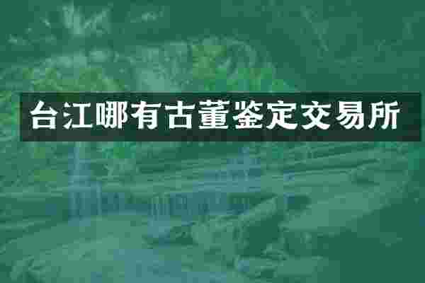 台江哪有古董鉴定交易所