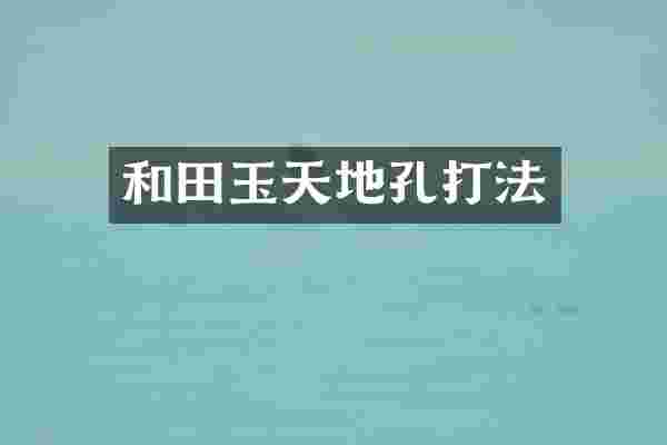 和田玉天地孔打法