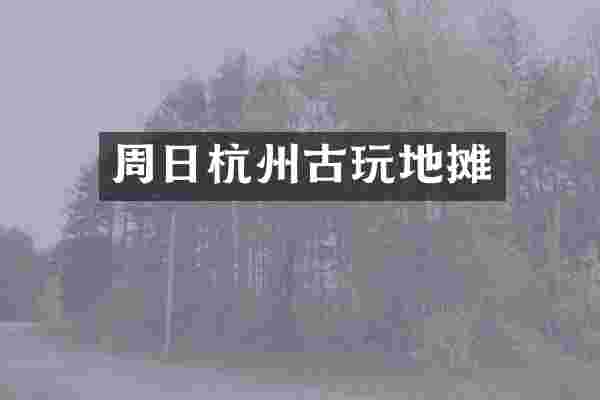 周日杭州古玩地摊