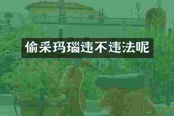 偷采玛瑙违不违法呢
