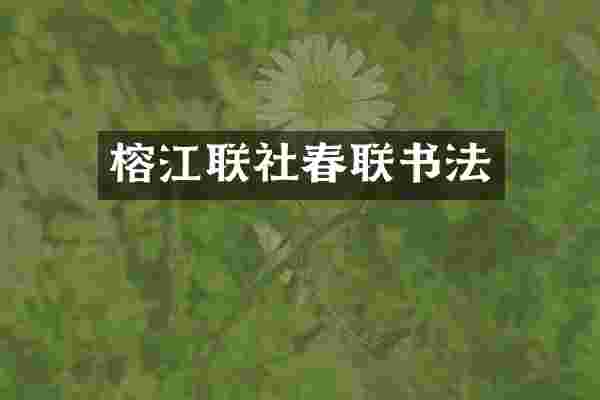 榕江联社春联书法