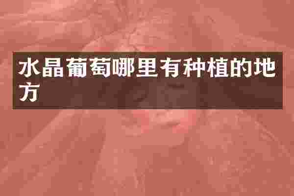 水晶葡萄哪里有种植的地方