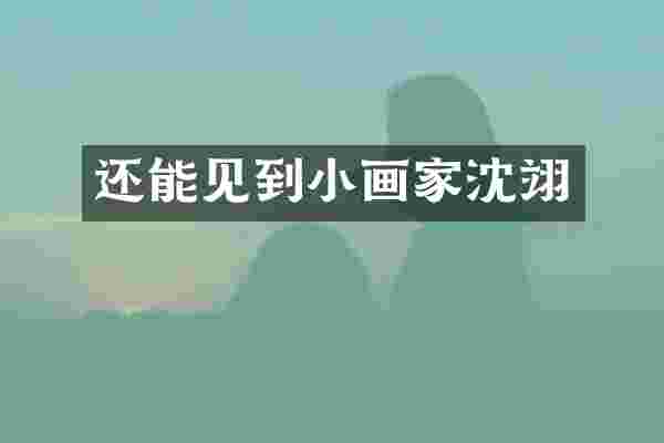 还能见到小画家沈翊