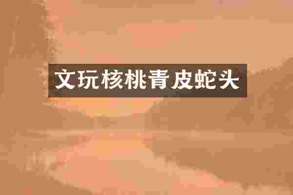 文玩核桃青皮蛇头