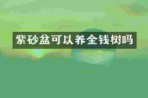 紫砂盆可以养金钱树吗