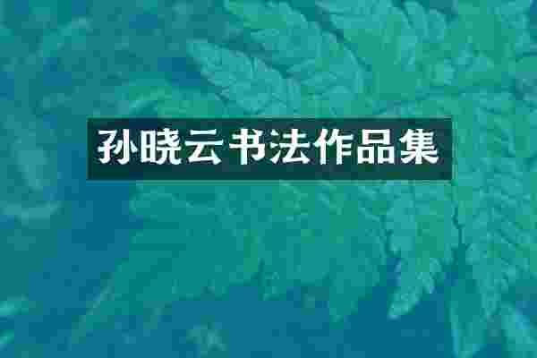 孙晓云书法作品集