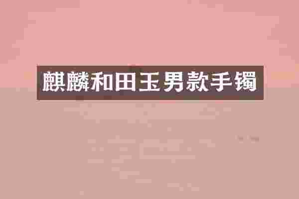 麒麟和田玉男款手镯