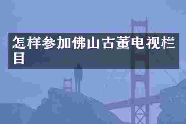 怎样参加佛山古董电视栏目