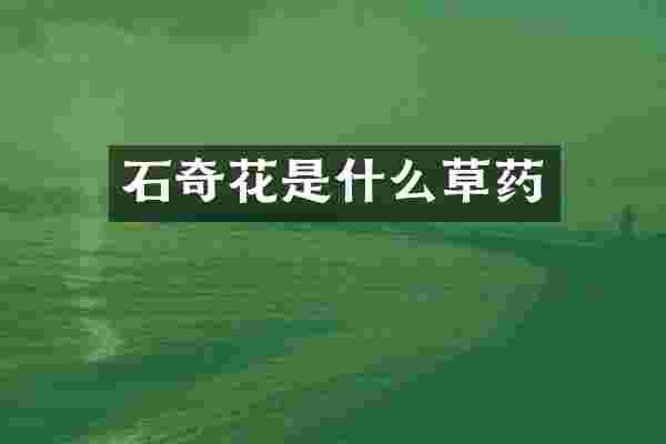 石奇花是什么草药