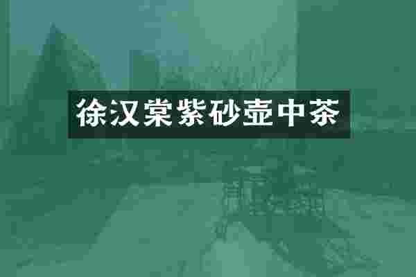徐汉棠紫砂壶中茶