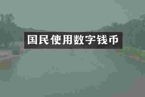 国民使用数字钱币