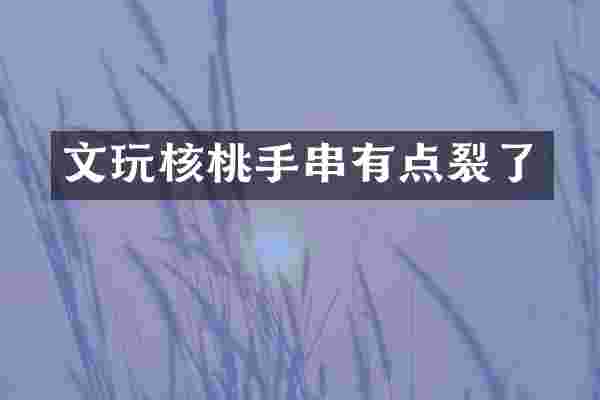文玩核桃手串有点裂了