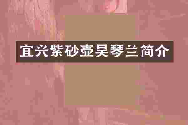 宜兴紫砂壶吴琴兰简介