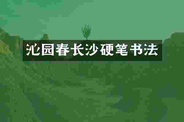 沁园春长沙硬笔书法