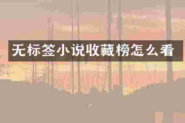 无标签小说收藏榜怎么看