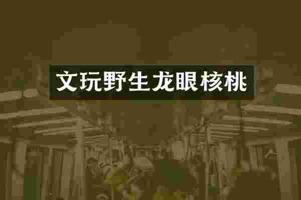 文玩野生龙眼核桃
