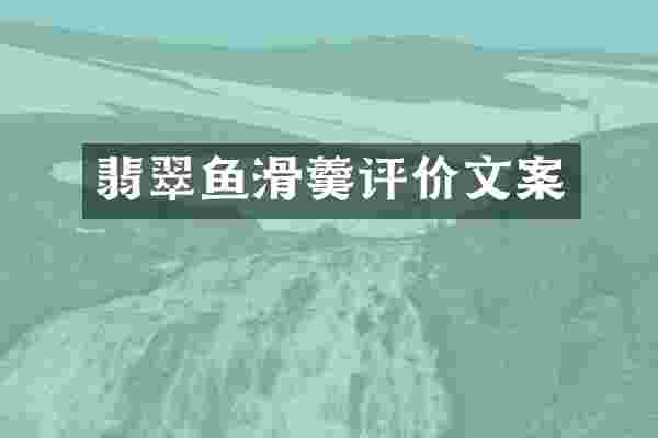 翡翠鱼滑羹评价文案