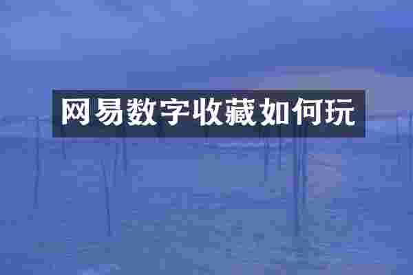 网易数字收藏如何玩