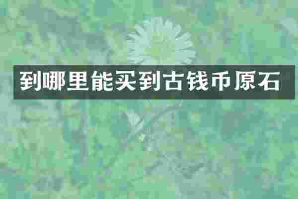 到哪里能买到古钱币原石