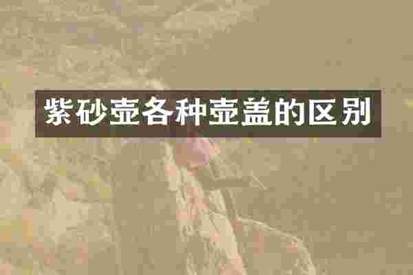 紫砂壶各种壶盖的区别