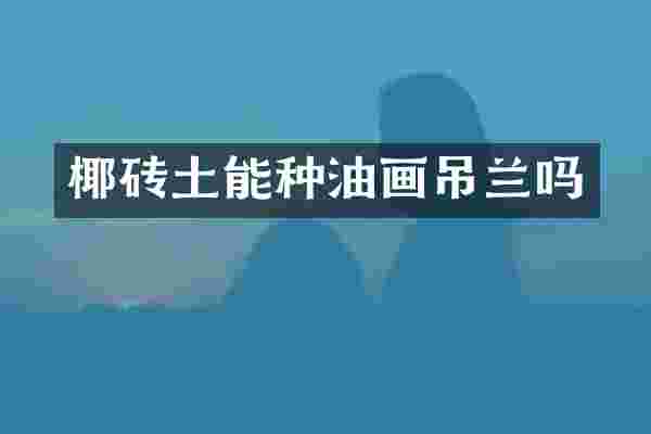 椰砖土能种油画吊兰吗