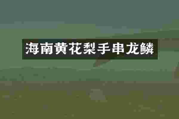 海南黄花梨手串龙鳞