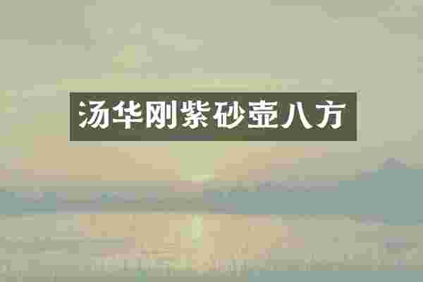 汤华刚紫砂壶八方