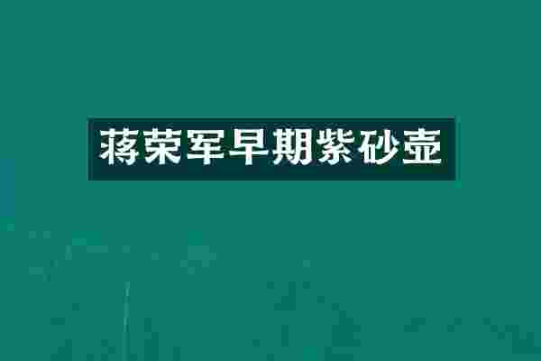 蒋荣军早期紫砂壶