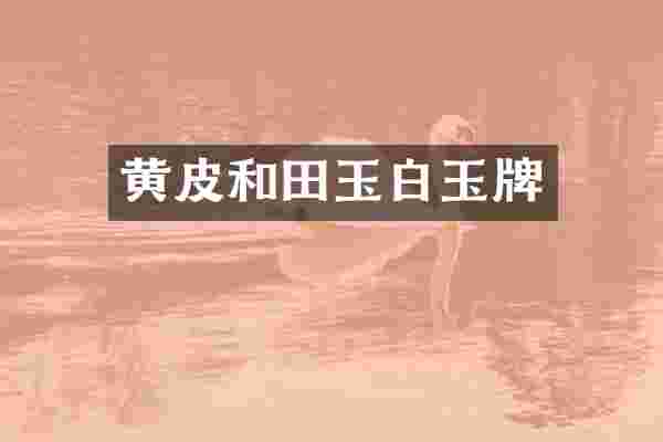 黄皮和田玉白玉牌