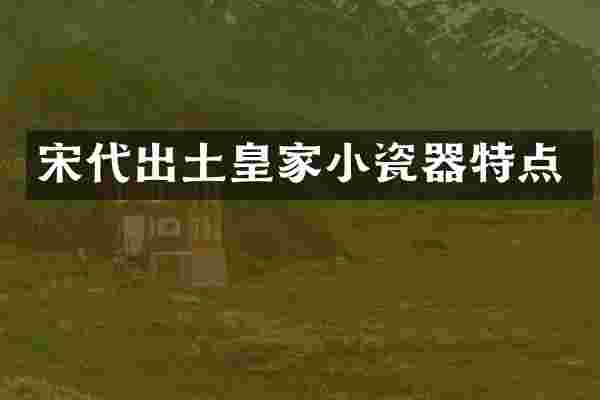宋代出土皇家小瓷器特点