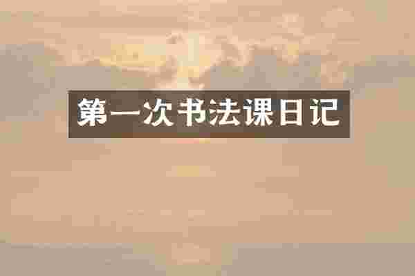 第一次书法课日记