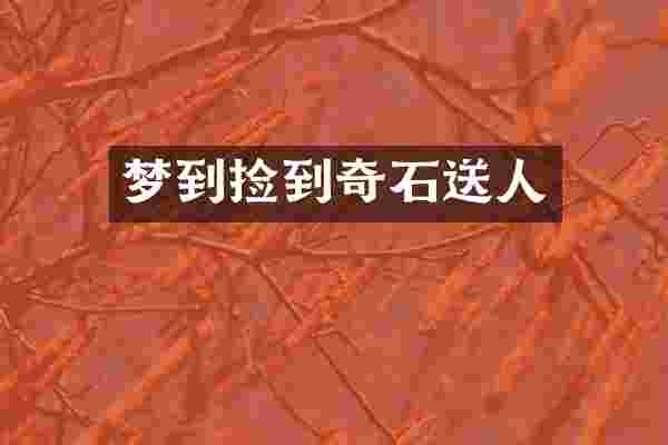 梦到捡到奇石送人